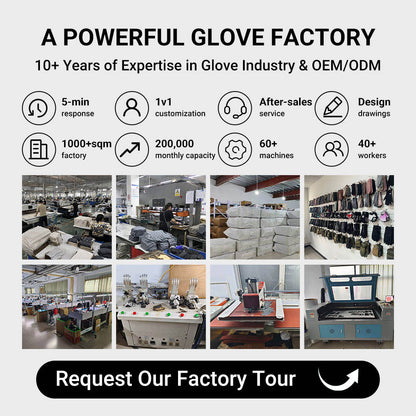 Premium Half-Finger Gym & Weightlifting Gloves